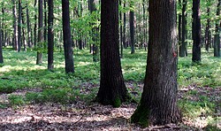 Pilzlernwanderung