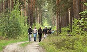 Wandern, Foto: Cordula Schladitz, Lizenz: Cordula Schladitz