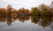 Localize 2025 Aradosee, Foto: Jacob Höferlin, Lizenz: Localize Festival