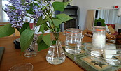 Workshop Creme rühren, Foto: Gabi Sußdorf, Lizenz: Gabi Sußdorf