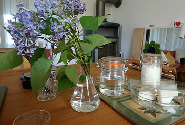 Naturkosmetik-Workshop: Cremekurs mit Live-Destillation eines Rosenwassers