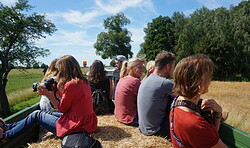 30. Brandenburger Landpartie in der Reiseregion Fläming