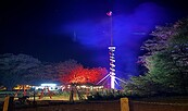 Maibaum Dörgenhausen, Foto: D. Bilik, Lizenz: JC Dörgenhausen e.V.