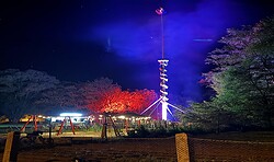 50 Jahre Dorffest und Maibaumwerfen in Dörgenhausen