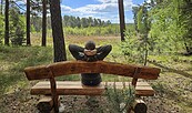 Blick auf den neuen Wildnispfad, Foto: Sophie Büchner, Lizenz: SNLB