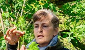 Manuela Grundmann, Foto: Bernd Müller, Lizenz: NaturFreunde Oberbarnim e.V.