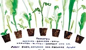Plakat, Foto: Julius Luge, Lizenz: Biohof Kepos