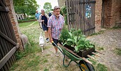 Pflanzenmarkt im Schlossgarten Petzow, Foto: Timm Kölln, Lizenz: Timm Kölln