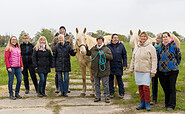 Pferdekraft-gegen-Stress, Foto: E. M. Weyer, Lizenz: Tourismusverein Angermünde e.V.