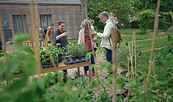 Pflanzenmarkt, Foto: Timm Kölln, Lizenz: Timm Kölln