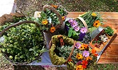 Gesammelte Kräuter, Foto: Ulrike Schünke, Lizenz: WaldZeit.net