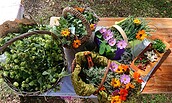 Gesammelte Kräuter, Foto: Ulrike Schünke, Lizenz: WaldZeit.net