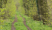 Tour 02_Wanderweg am Hagelberg, Foto: Steffen Bohl, Lizenz: Steffen Bohl