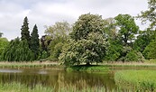 Schlosspark Wiesenburg, Foto: (c) Andrea Jentsch, Lizenz: (c) Andrea Jentsch