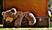 Teddy in Koffer, Foto: Pixabay, Lizenz: Pixabay