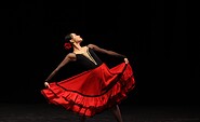 Impression Ballett-Gala, Foto: Ballettschule Werhun, Lizenz: Brandenburgische Kulturstiftung Cottbus-Frankfurt (Oder)