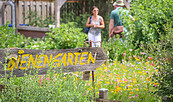Bienegarten, Foto: Lukas Häuser, Lizenz: Burg Lenzen