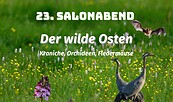 Salonabend, Foto: Ines Benning