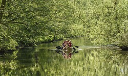 Wasser und Wein - Geführte Kanutour auf der Löcknitz mit anschließender Weinverkostung