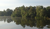 Elbe, Foto: Archiv Burg Lenzen