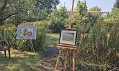 Kunst im Garten, Foto: Barbara Maria Zöllner