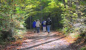Wandern, Foto: Mickey Estes auf Pixabay, Lizenz: Mickey Estes auf Pixabay
