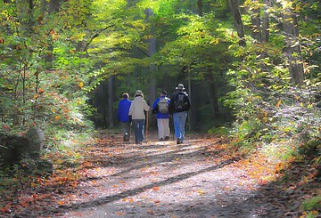 Natürlich führen I Coaching beim Wandern für Führungskräfte