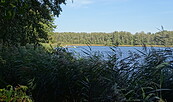 Strand Zeesener See, Foto: Petra Förster, Lizenz: Tourismusverband Dahme-Seenland e.V.