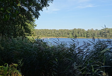 15. Zeesener Seeschwimmen