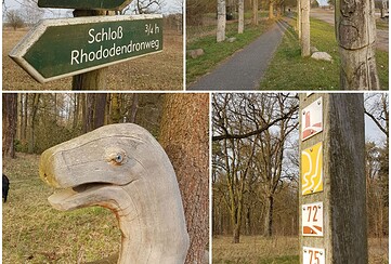 Outdoor: Achtsame Wanderung im Schlosspark Wiesenburg