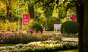 Rosengarten, Foto: PatLografie-Patrick Lucia