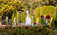 Rosengarten, Foto: PatLografie-Patrick Lucia
