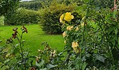 Garten, Foto: Anje Kreutzer
