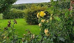 Offener Garten Hof Repente