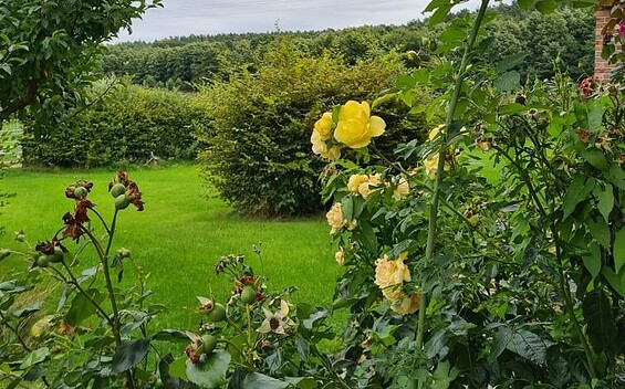 Offener Garten Hof Repente
