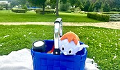 Seepark, Foto: Susanne Ramm, Lizenz: Stadt Prenzlau