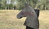 Am Wildpferderundweg, Foto: Durant, Lizenz: Tourismusverein Naturpark Barnim