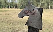 Am Wildpferderundweg, Foto: Durant, Lizenz: Tourismusverein Naturpark Barnim