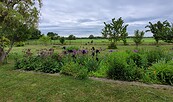 Garten03, Foto: A.Birkholz, Lizenz: A.Birkholz