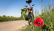 Foto: Didgeman, Lizenz: pixabay