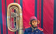Foto: Ton und Kirschen Wandertheater