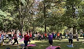 Sport im Spremberger Stadtpark, Foto: Madlen Schwausch , Lizenz: Madlen Schwausch