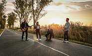 LION, Foto: Agenturfoto, Lizenz: Agenturfoto