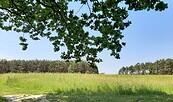 Kobbeln, Foto: Besucherinformation Amt Neuzelle, Lizenz: Besucherinformation Amt Neuzelle