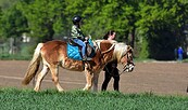 Ponyreiten, Foto: Pixabay, Lizenz: Pixabay
