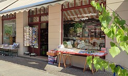 „Sommer, Sonne, Buch“ - Unsere Buchtipps für Sie!