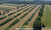 Agroforst, Foto: Dr. Philipp Gerhardt, Lizenz: Dr. Philipp Gerhardt