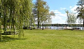 Festwiese, Foto: Tourismusverein Scharmützelsee, Lizenz: Tourismusverein Scharmützelsee
