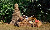 Foto: bernswaelz, Lizenz: pixabay