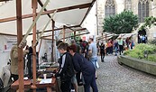 Archäologischer Marktplatz mit zahlreichen Besuchern 2023 in Pirna, Foto: Cornelia Rupp, Lizenz: Landesamt für Archäologie Sachsen